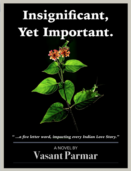 Insignificant, Yet Important. by Vasant Parmar